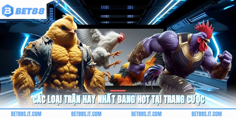 Các loại trận hay nhất đang hot tại trang cược