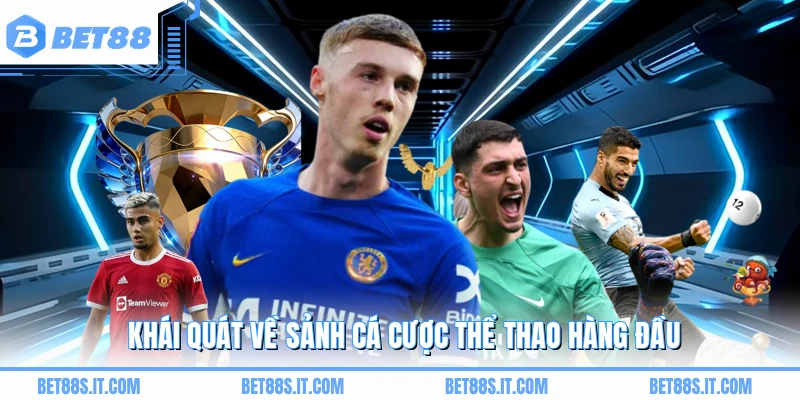 Khái quát về sảnh cá cược thể thao hàng đầu