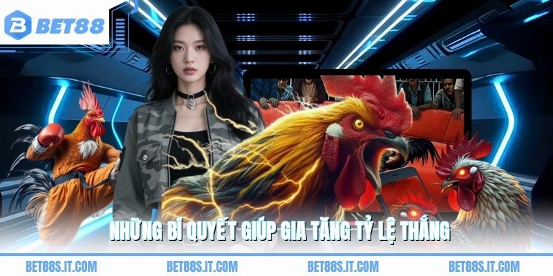 Những bí quyết giúp gia tăng tỷ lệ thắng